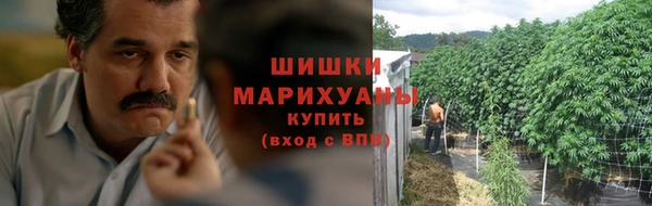 винт Нея