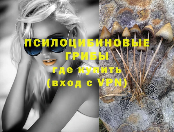 спиды Нефтегорск
