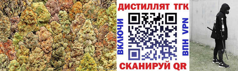 Купить где  Короча  Дистиллят ТГК гашишное масло 